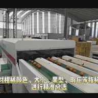 Fruits Sorting Machine